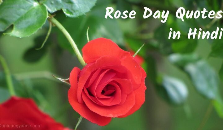 Rose Day Shayari in Hindi 2025 | Happy Rose Day Image Quotes in Hindi