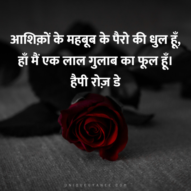 Happy Rose Day Image